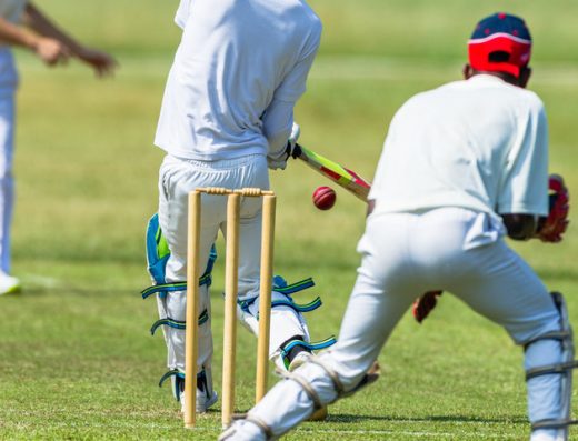 Cricket
