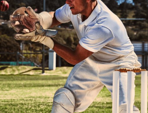 Cricket