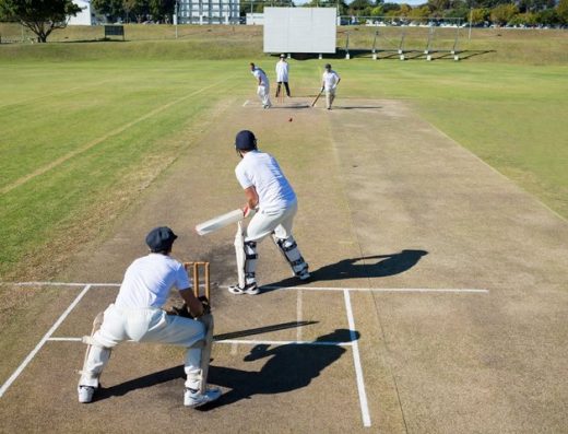 Cricket